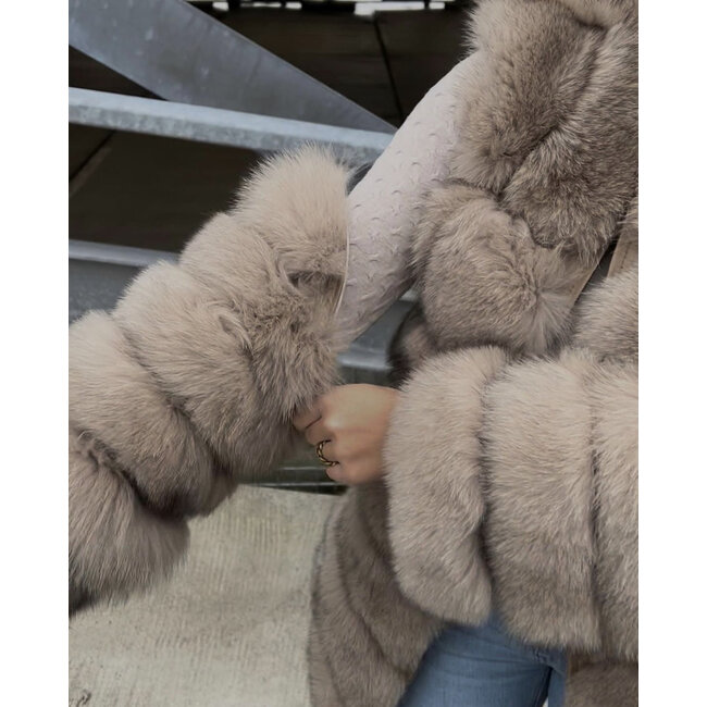 AZALEA furcoat peanut