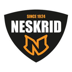 Neskrid