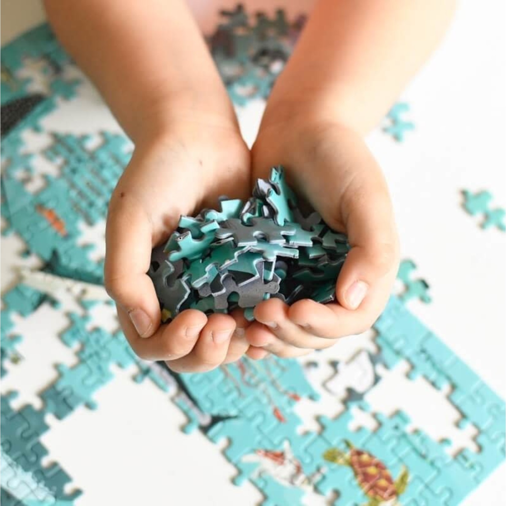 Poppik – puzzle – les océans