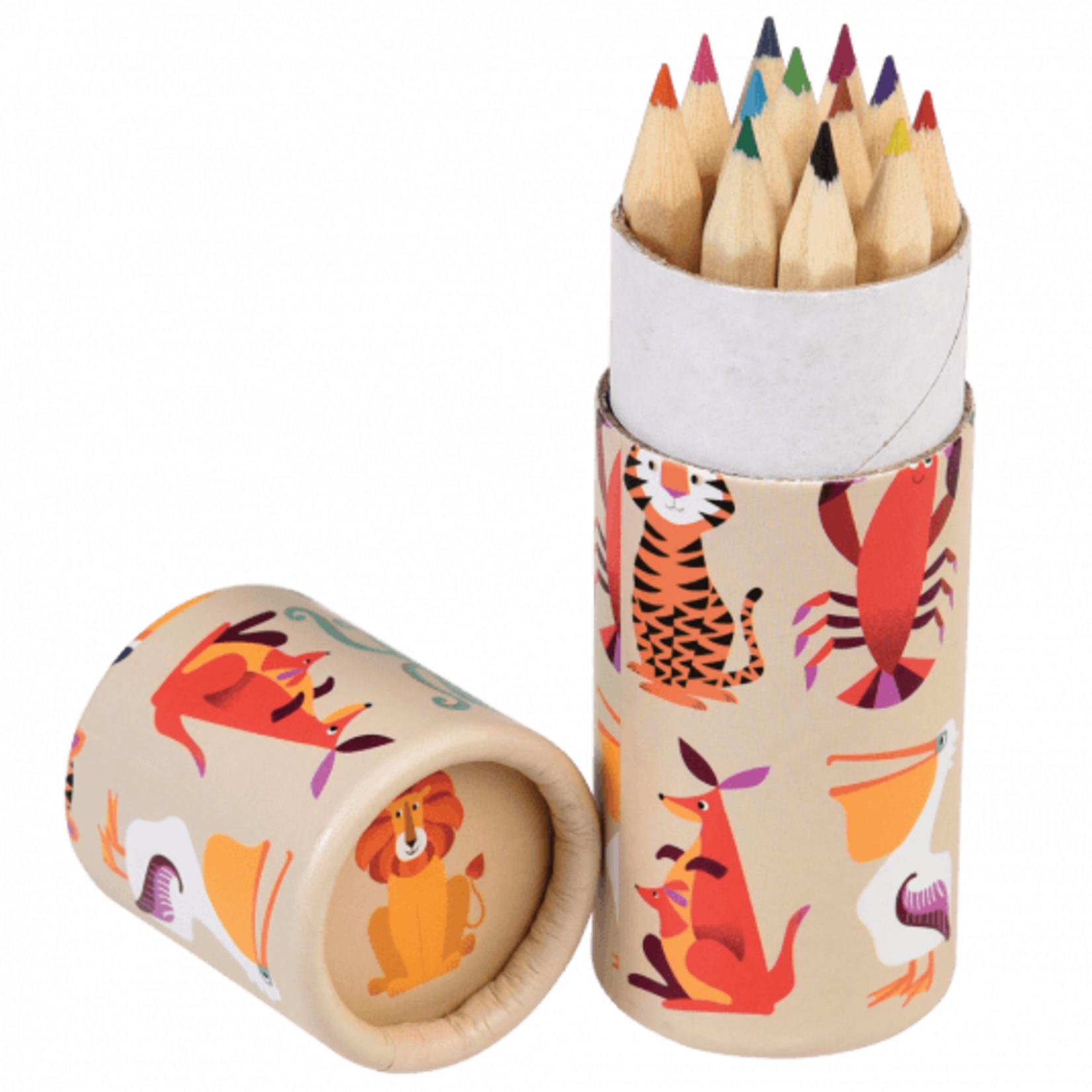 Rex Rex - set crayons de couleur - animaux