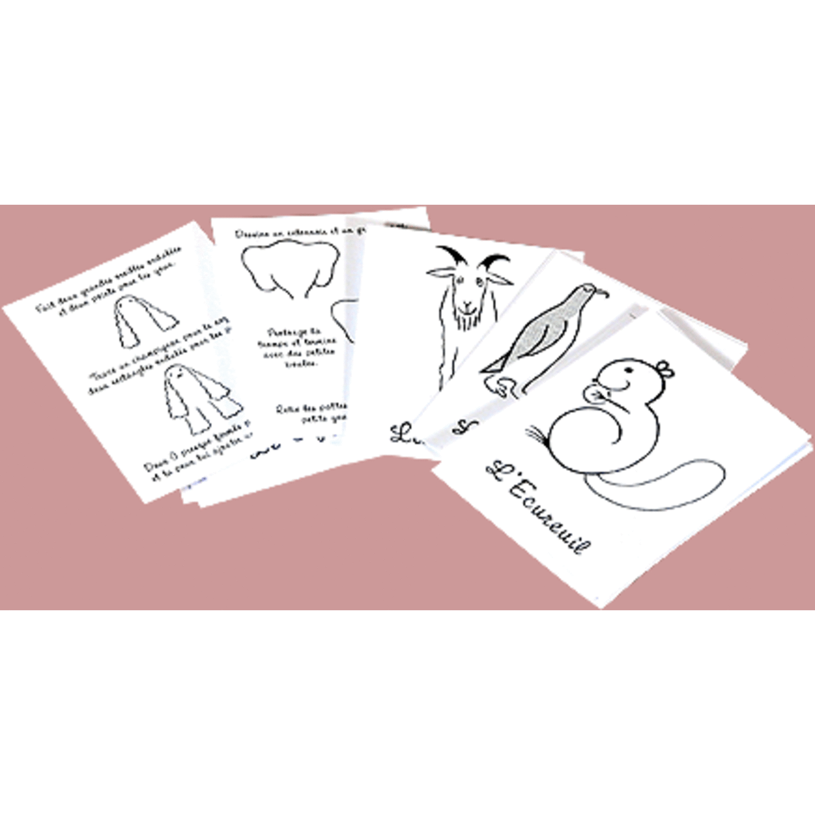 Marc Vidal Marc Vidal - j'apprends à dessiner les animaux