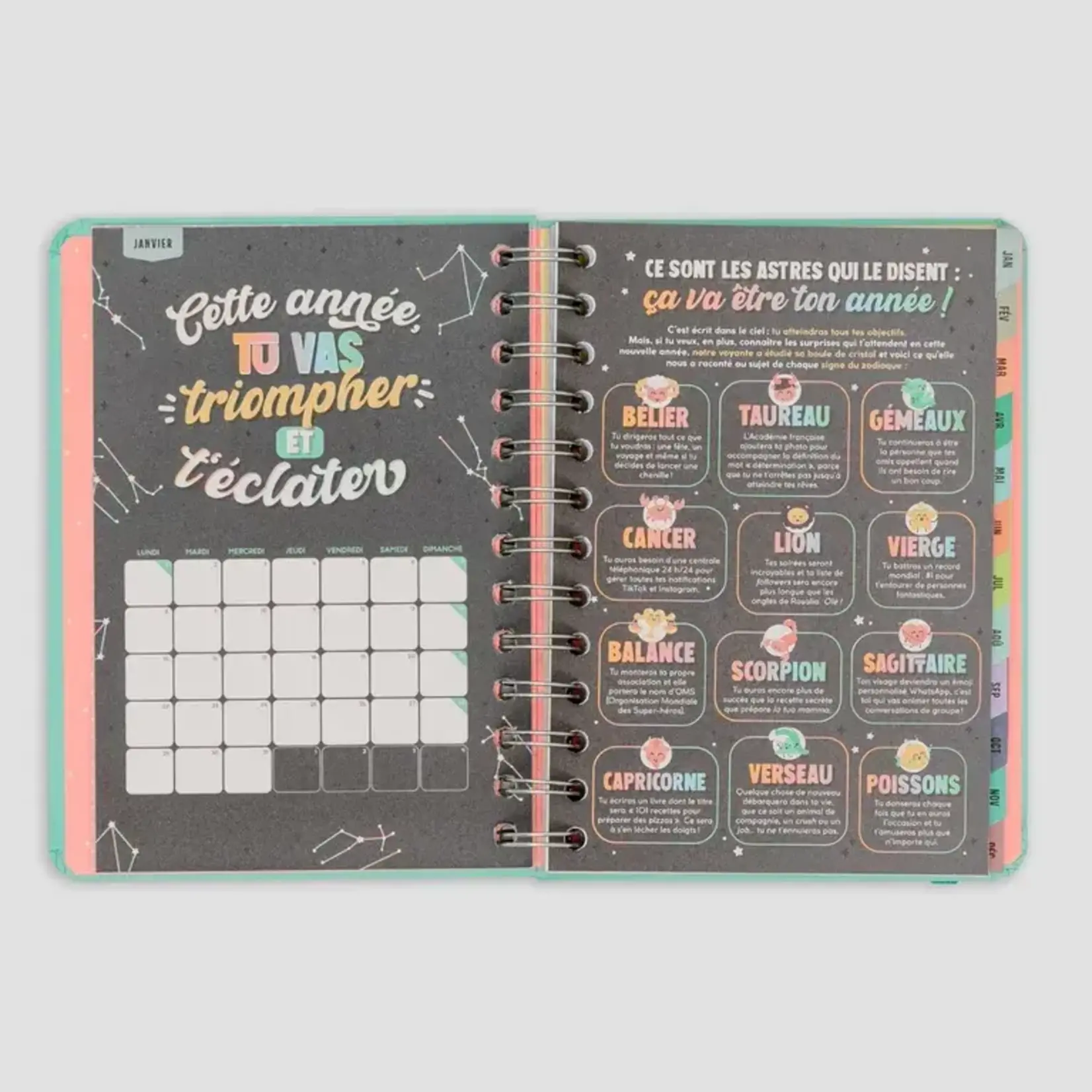 Mr Wonderful Mr Wonderful - agenda wonder2024 - semainier - petit format - Je vais accomplir des milliers de choses