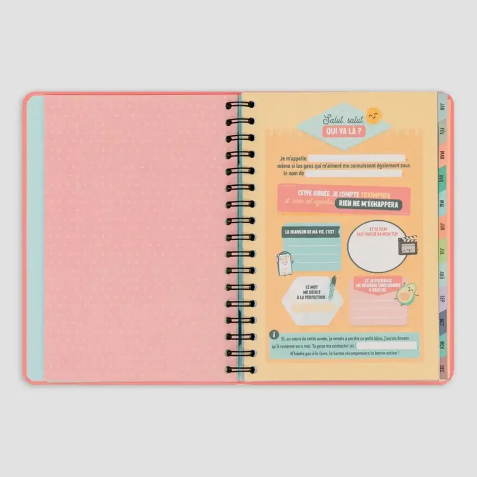 Mr Wonderful Mr Wonderful - agenda wonder 2024 - semainier - rose - Tu vas assurer