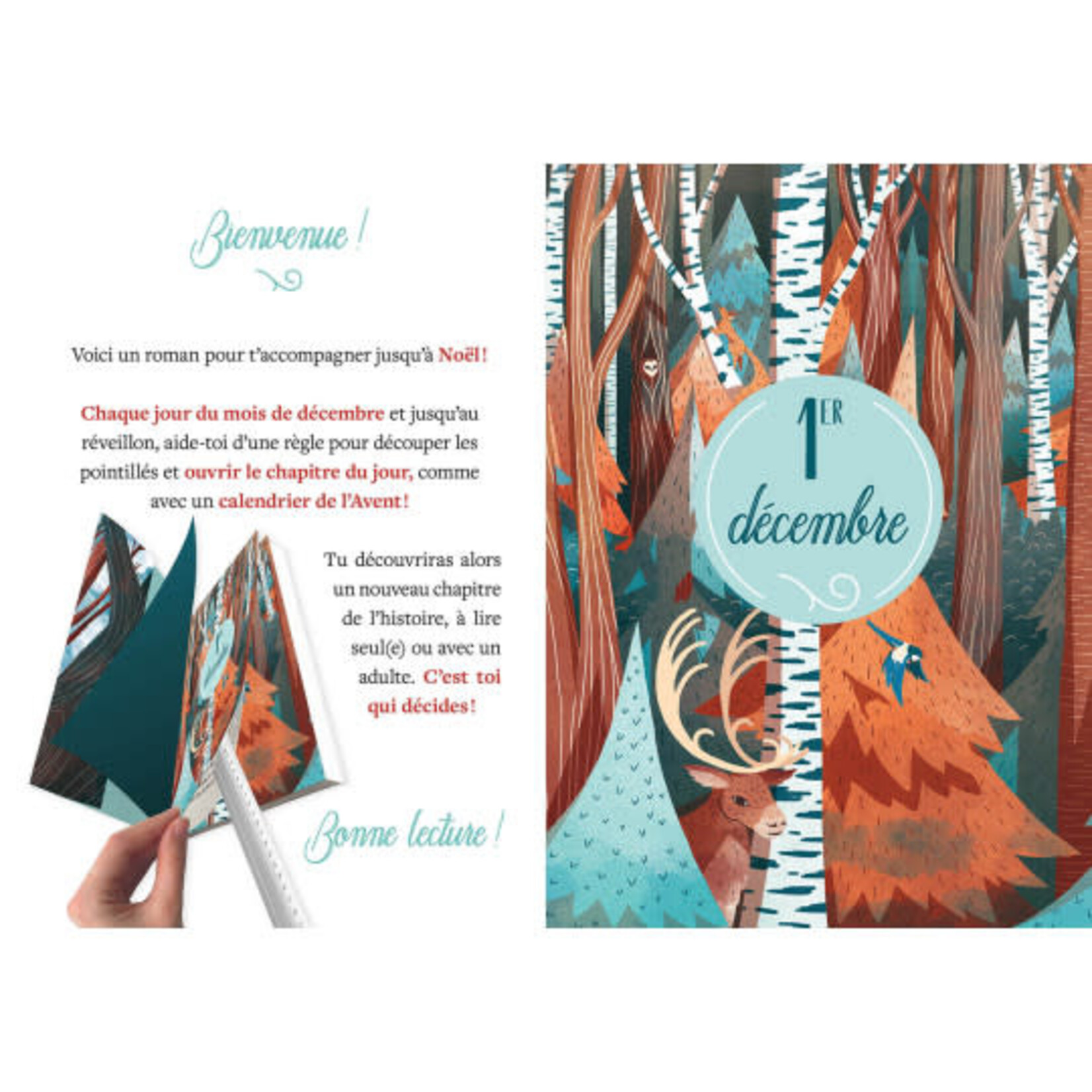 Auzou Roman de l’Avent – le renne mystérieux