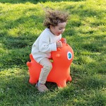 Djeco Djeco - ballon sauteur - Sunny jumper