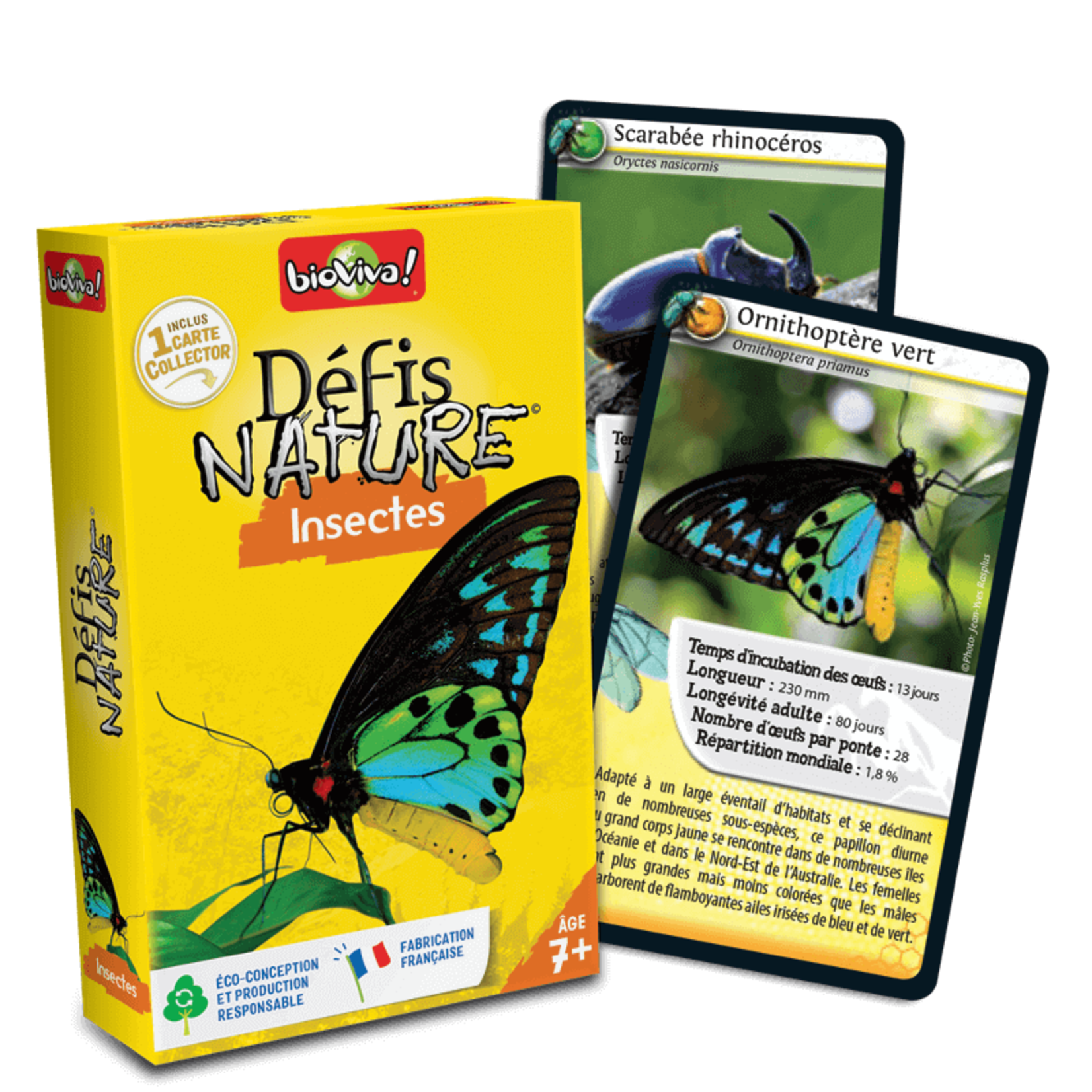 Jeux de société Défis nature - insectes