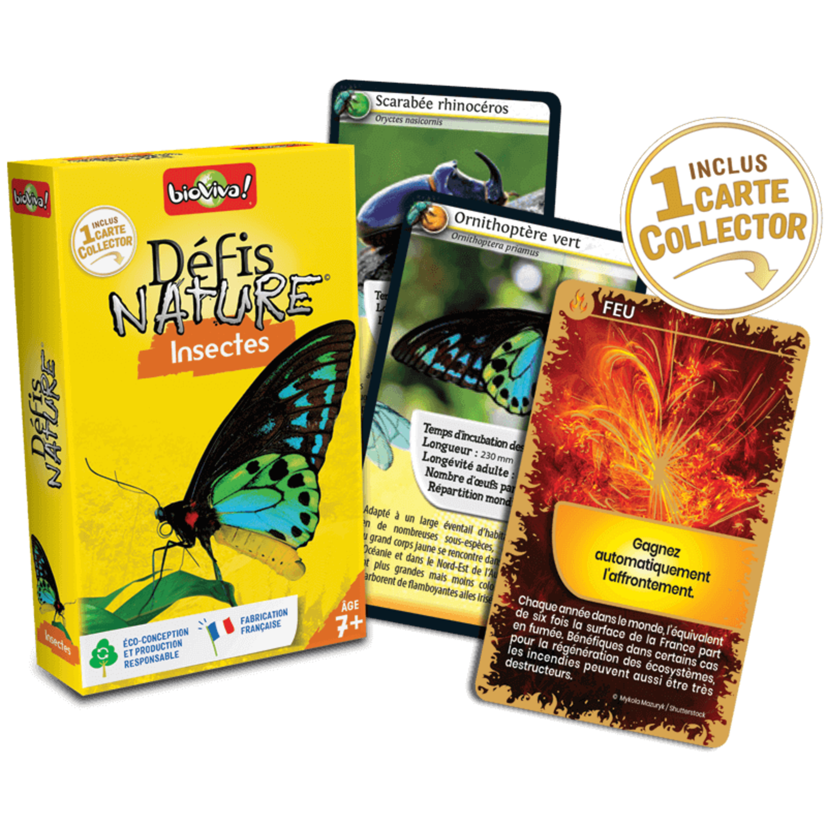 Jeux de société Défis nature - insectes