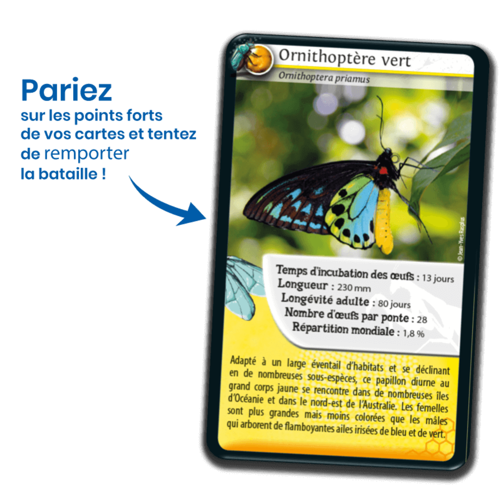 Jeux de société Défis nature - insectes