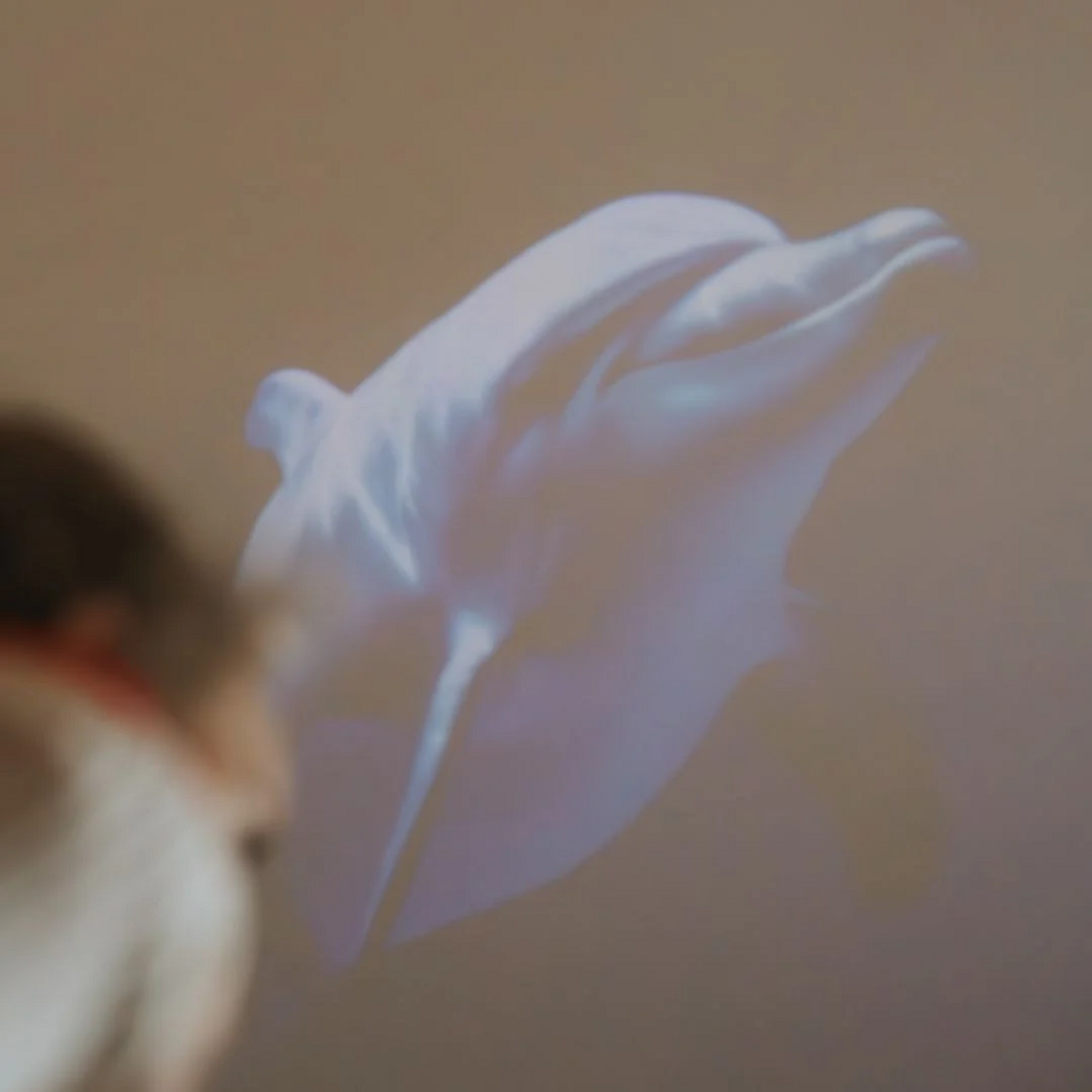 Kidywolf Kidywolf - kidystar - projecteur d'images - océans et mers