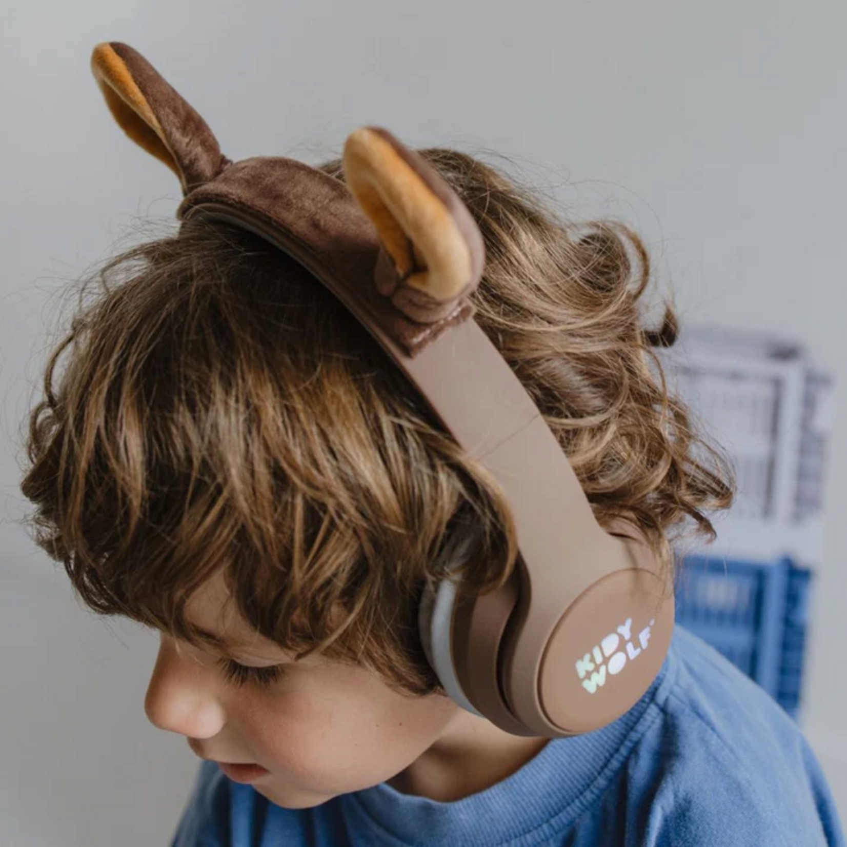 Kidywolf Kidywolf – kidyears - casque audio bluetooth - ours