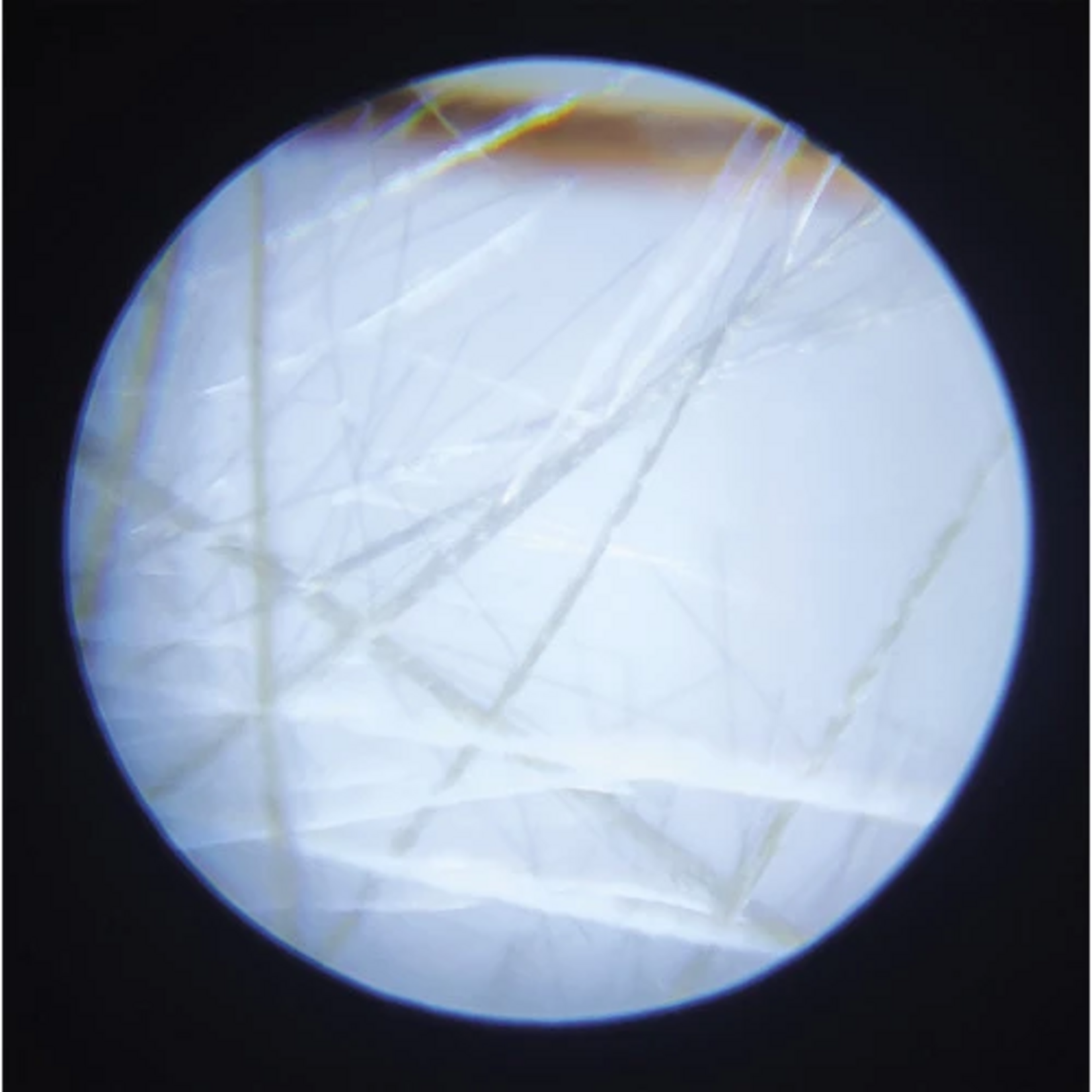 Janod Janod  - happy garden - microscope de poche