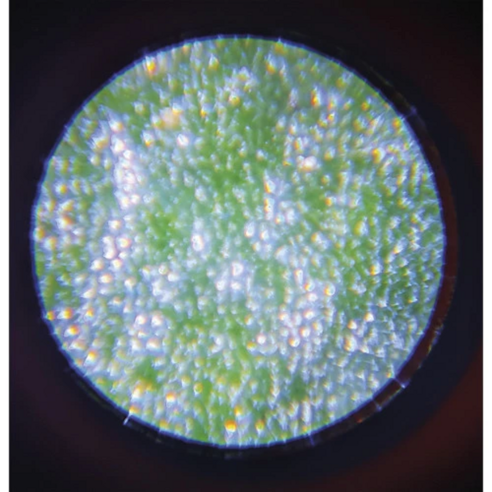 Janod Janod  - happy garden - microscope de poche