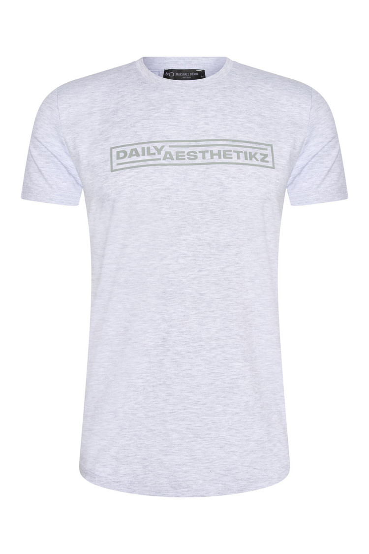 HEREN T-SHIRT GRIJS MET PRINT