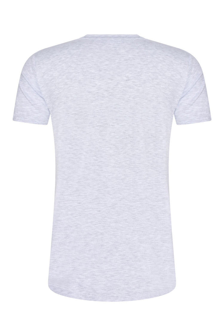 HEREN T-SHIRT GRIJS MET PRINT