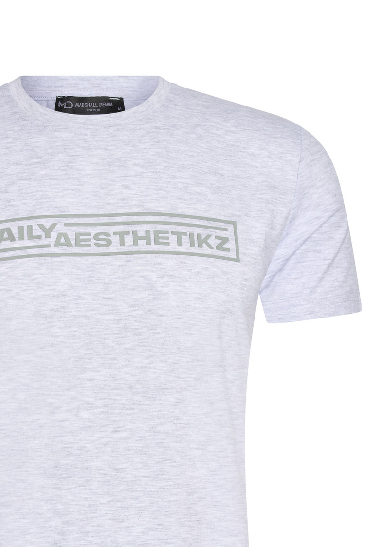 HEREN T-SHIRT GRIJS MET PRINT