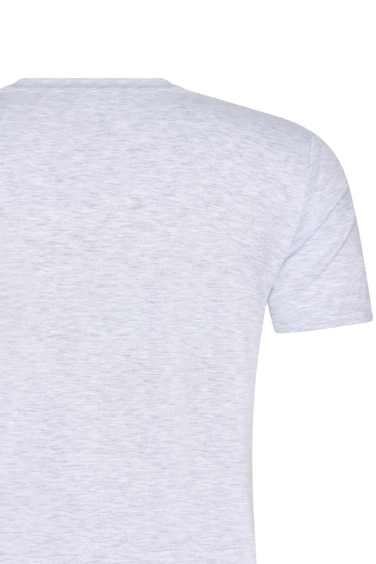 HEREN T-SHIRT GRIJS MET PRINT