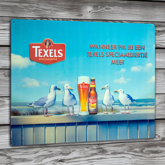Texels Schild Meeuwen (30x40cm)