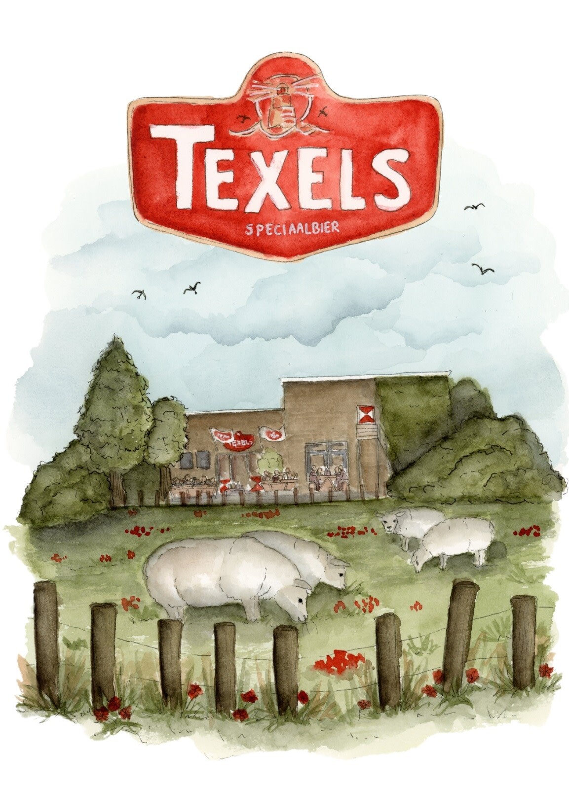 Texels Ansichtkaart (set 2 stuks)