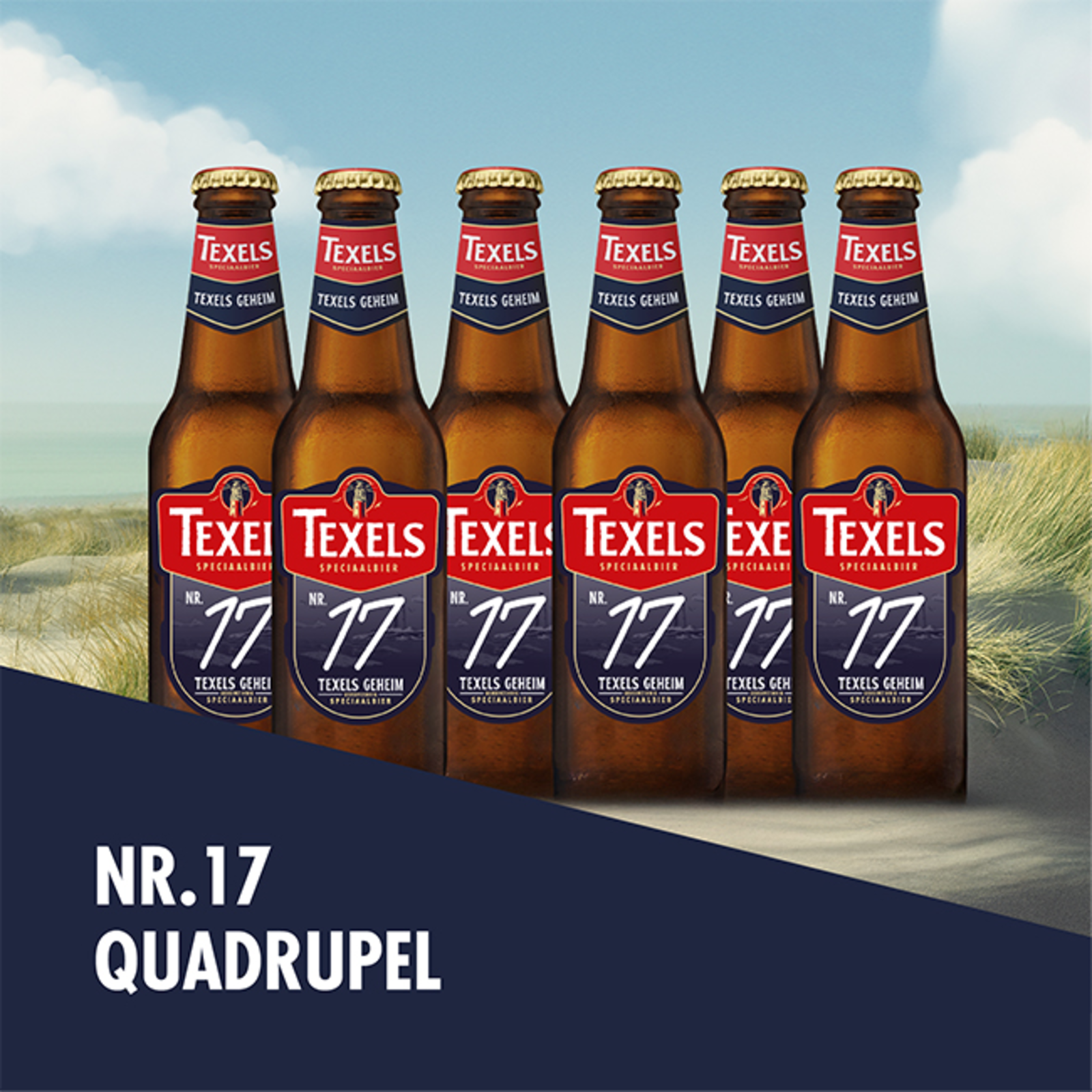 6 Pack Texels Geheim #17 (Quadrupel)