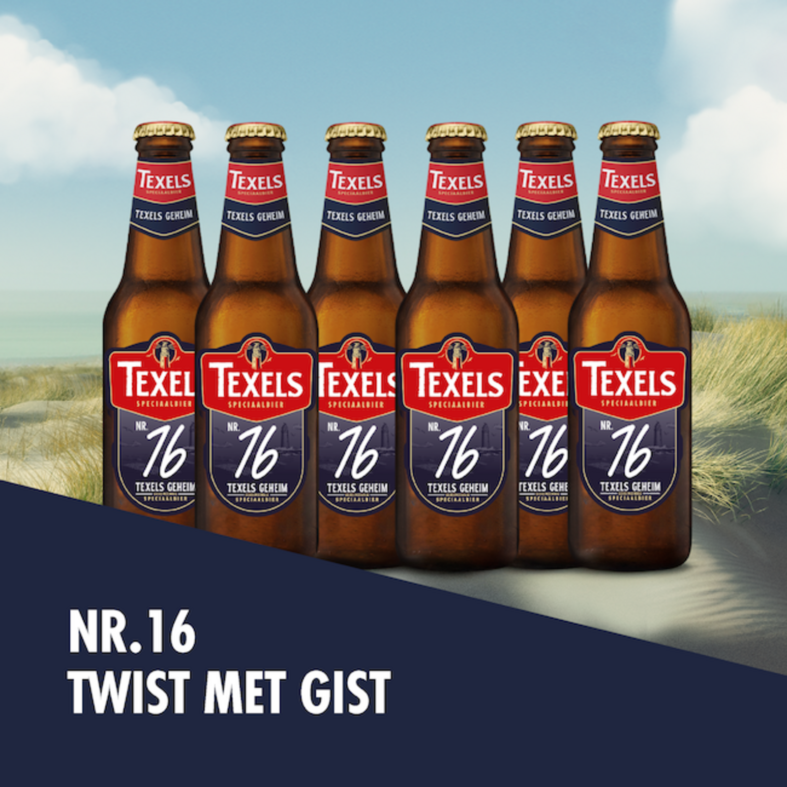 6 Pack Texels Geheim #16 (Twist)