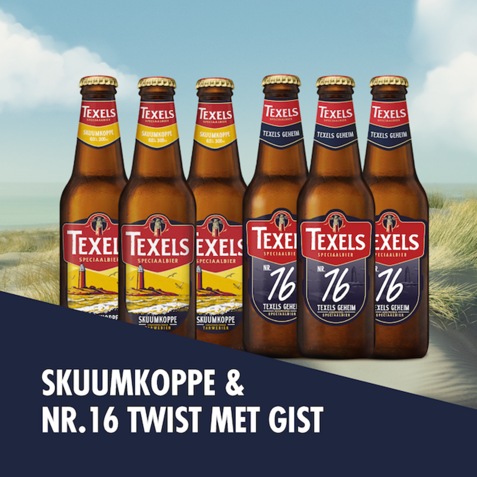 6-Pack Texels Geheim #16 (Twist) & Texels Skuumkoppe