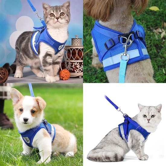 Igoods IGOODS - Kattenharnas - Blauw Maat XS -  Met Reflecterende Strip