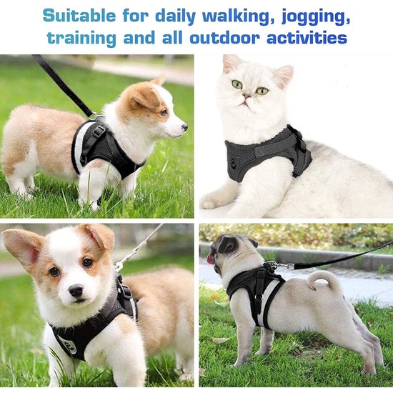 Igoods IGOODS - Kattenharnas - Grijs Maat XS-  Met Reflecterende Strip