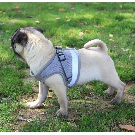 Igoods IGOODS - Kattenharnas - Grijs Maat XS-  Met Reflecterende Strip