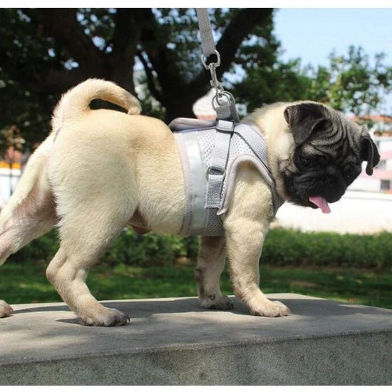 Igoods IGOODS - Kattenharnas - Grijs Maat XS-  Met Reflecterende Strip