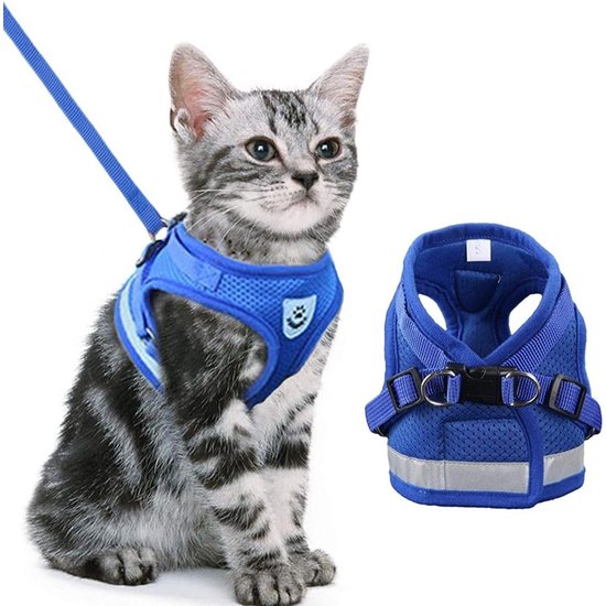 Igoods IGOODS - Kattenharnas - met Reflecterende Strip - Leash set - knaagdieren - Blauw - Maat L