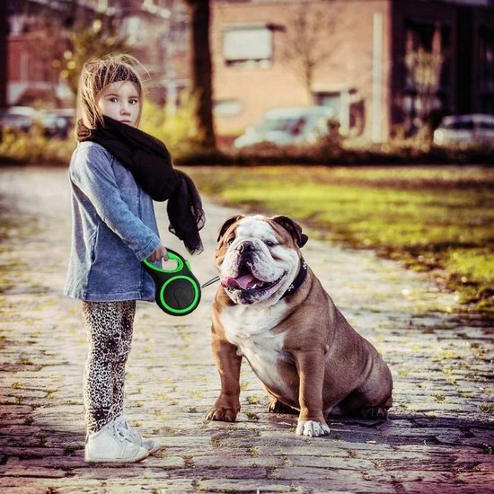 Igoods IGOODS - Uitlaatriem dieren - Hondenriem - 5 meter lang - Groen
