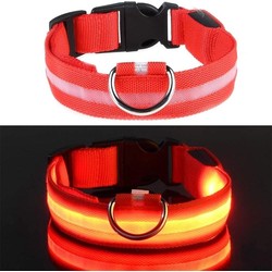 LED hondenhalsband USB oplaadbaar - Rood