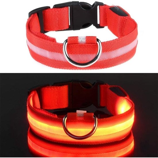 Rood - LED hondenhalsband USB oplaadbaar
