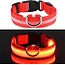 IGoods Rood - LED hondenhalsband USB oplaadbaar