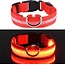 Rood - LED hondenhalsband USB oplaadbaar