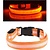 Igoods Igoods LED hondenhalsband USB oplaadbaar - Oranje