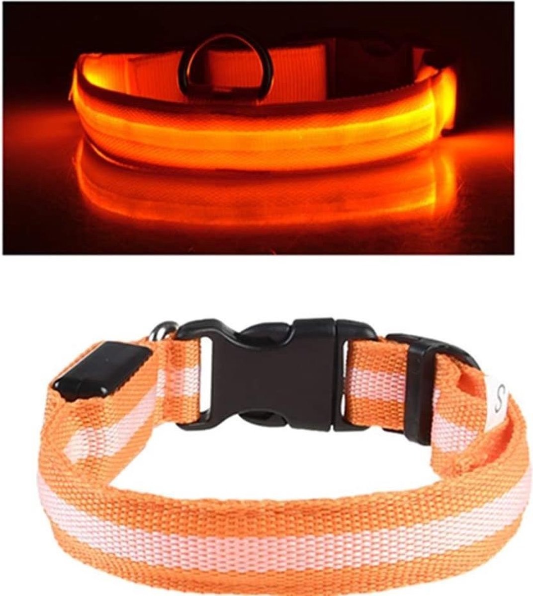 Voorschrijven Armoedig Vermoorden Oranje LED hondenhalsband USB oplaadbaar Super Bright Safety Pet Collar  verhoogde zichtbaarheid | Devoordeligedrogisterij.nl