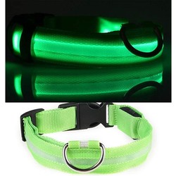 LED hondenhalsband USB oplaadbaar - Groen