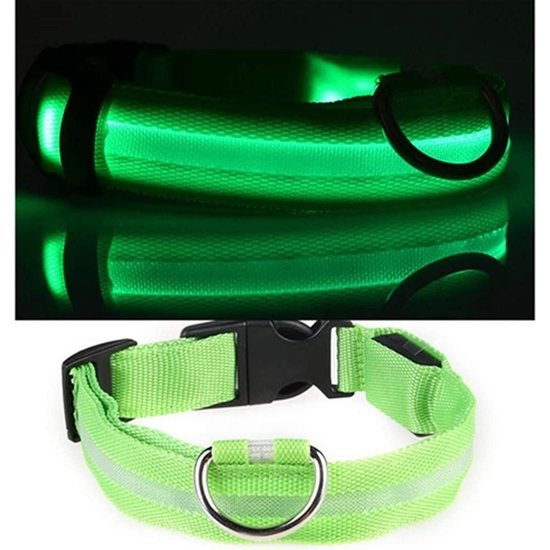 Igoods Igoods Groen LED hondenhalsband USB oplaadbaar Super Bright Safety Pet Collar verhoogde zichtbaarheid