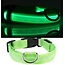 Igoods Igoods Groen LED hondenhalsband USB oplaadbaar Super Bright Safety Pet Collar verhoogde zichtbaarheid