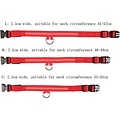 Igoods Igoods Groen LED hondenhalsband USB oplaadbaar Super Bright Safety Pet Collar verhoogde zichtbaarheid