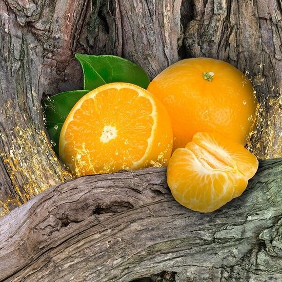 Axe Axe Africa Deodorant Bodyspray 150 ML