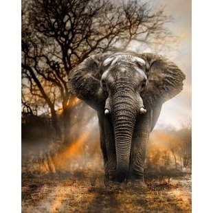 Diamond Painting Olifant in schemer - 40x50 cm - Ronde steentjes inclusief tools