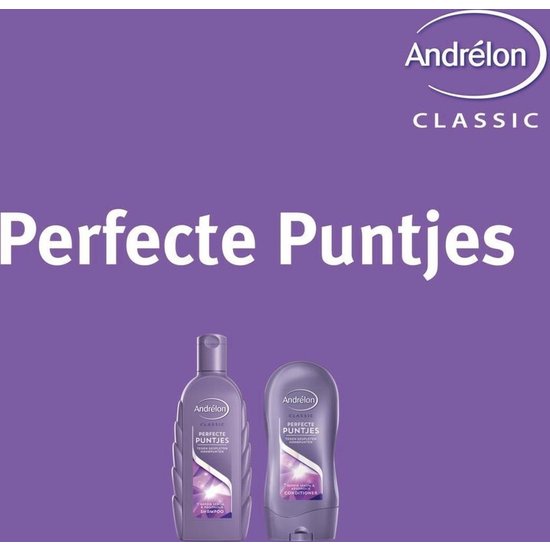 Andrélon Andrelon Conditioner Perfecte Puntjes - 300ml