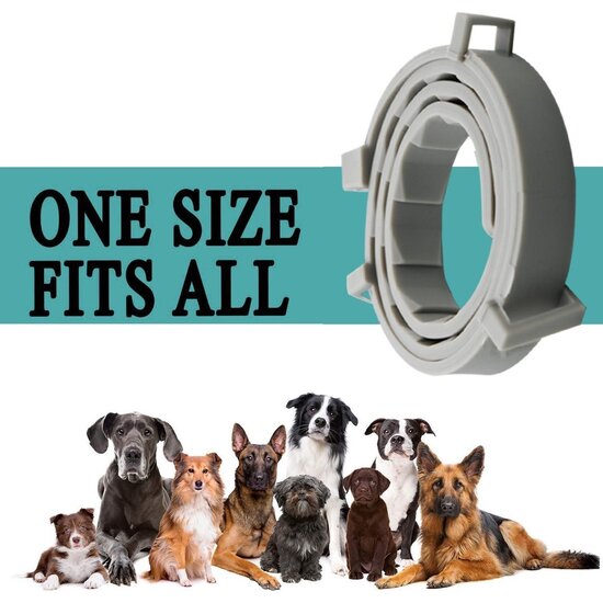 Vlooienband hond - Vlooienband kat - Alle Honden & Katten- zwart