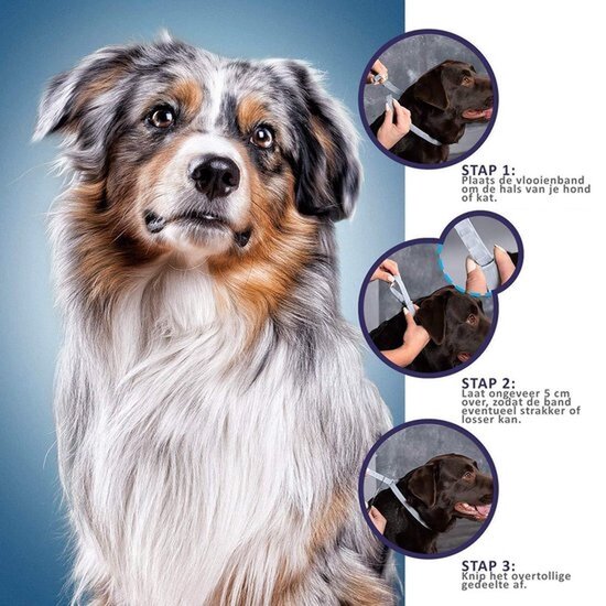 Vlooienband hond - Vlooienband kat - Alle Honden & Katten- zwart