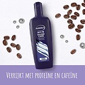 Andrélon Andrélon Zilvercare Shampoo 300 ml