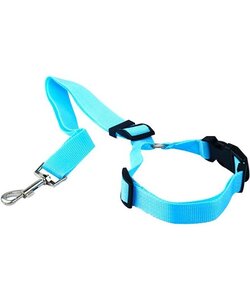 Igoods Hondengordel - 2-in1 Hondenriem - Veiligheidsgordel - Verstelbaar - Nylon - Blauw