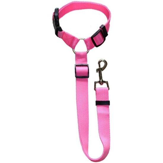 Igoods Igoods Hondengordel - 2-in1 Hondenriem - Veiligheidsgordel - Verstelbaar - Nylon - Roze