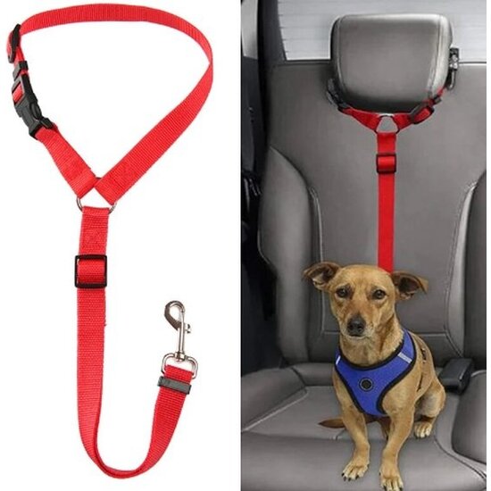 Igoods Igoods Hondengordel - 2-in1 Hondenriem - Veiligheidsgordel - Verstelbaar - Nylon - Rood